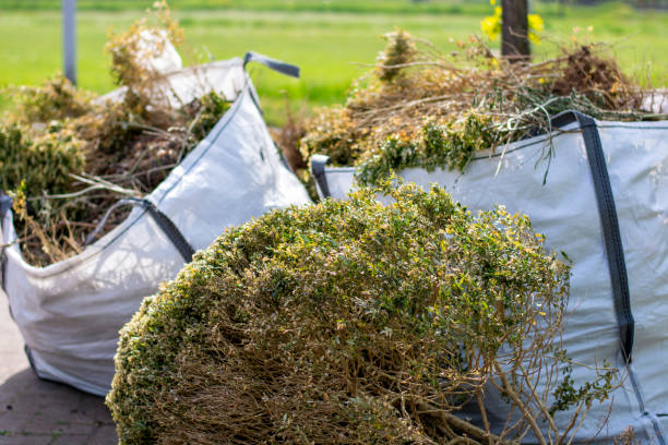 Best Carpet Removal and Disposal  in Santo Domingo Pueblo, NM